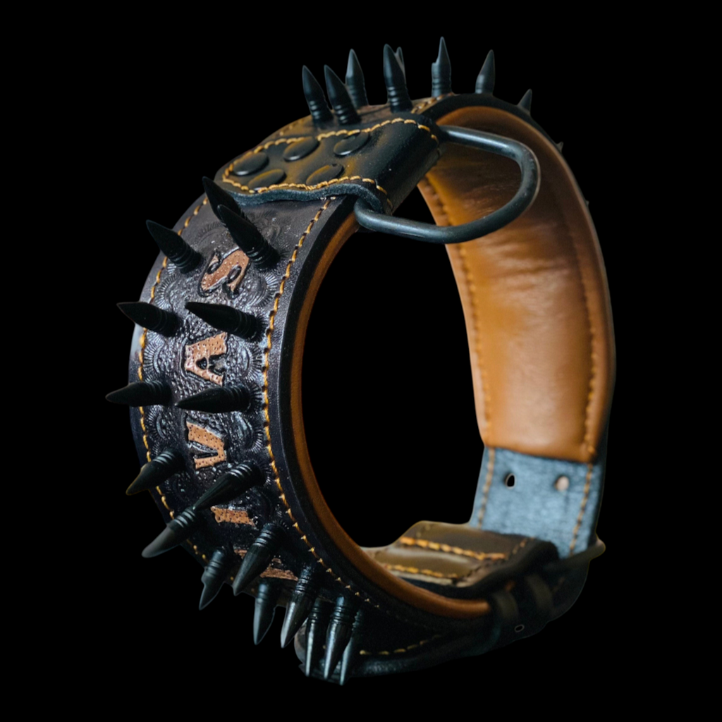 Handmade personalized leather dog collar with spikes and custom name for large breeds, showcasing durable design by A&C Dog Collars.