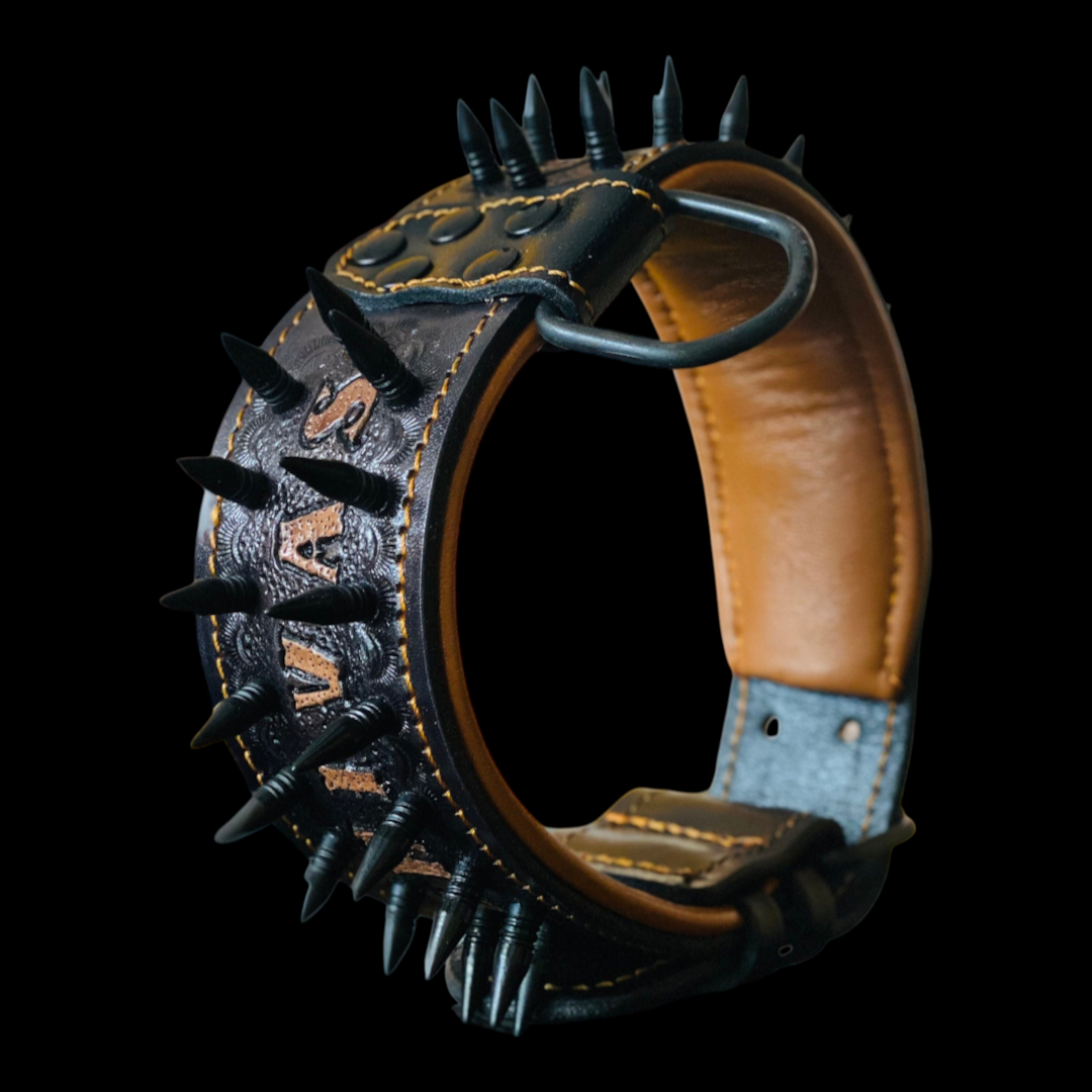 Handmade personalized leather dog collar with spikes and custom name for large breeds, showcasing durable design by A&C Dog Collars.