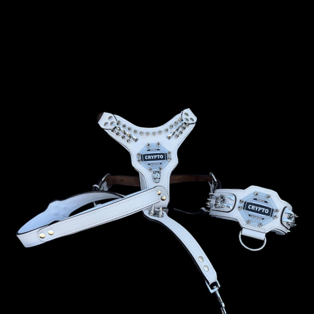 Handmade White Buffalo Leather Dog Harness Set: Custom Name Plate, Large Breed - A&C Dog Collars