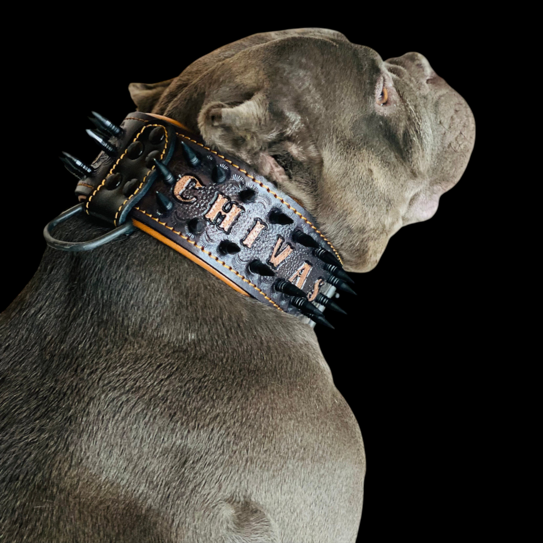 Handmade personalized leather dog collar with spikes and custom name, designed for large breeds by A&C Dog Collars