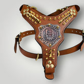 Handmade buffalo leather dog harness with personalized collar from A&C Dog Collars, showing adjustable straps and high-quality leather.