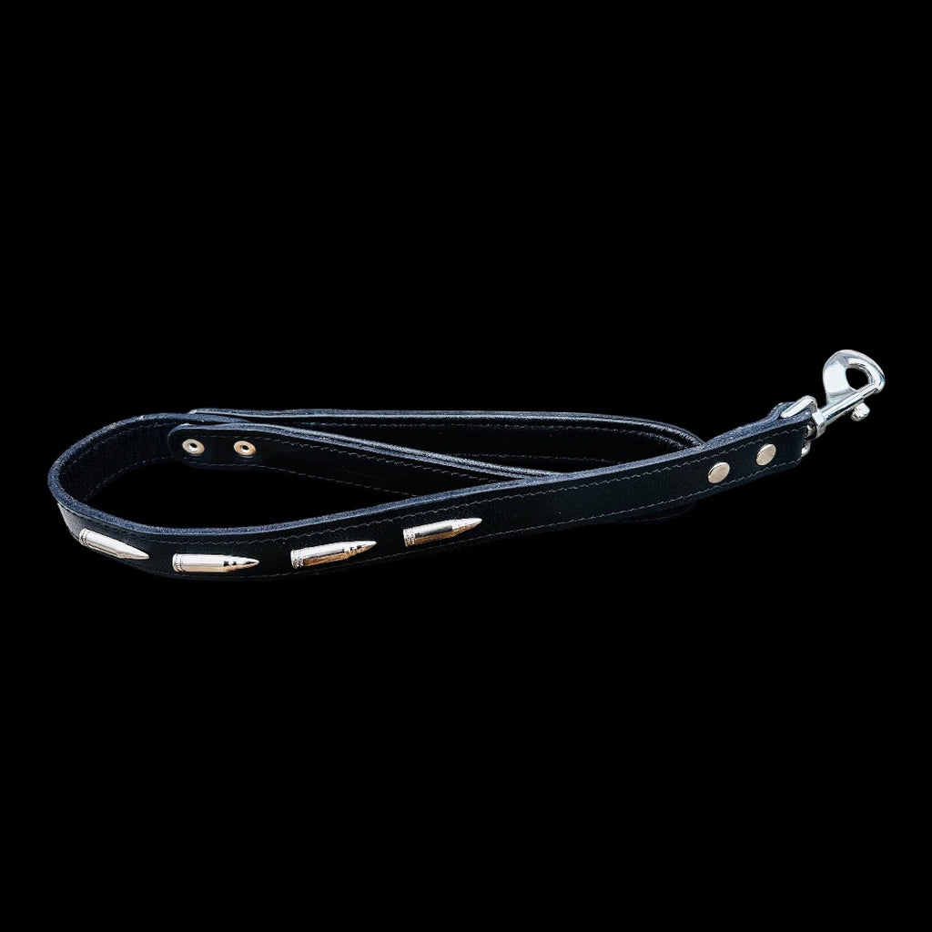 Handmade buffalo leather dog collar by A&C Dog Collars with personalized engraving, shown with adjustable strap and engraved name plate.