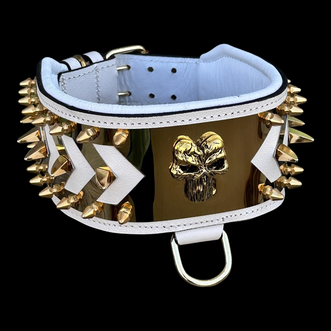 White buffalo leather spiked dog collar with gold Punisher emblem, handmade luxury design, featuring metal spikes and buckle closure.