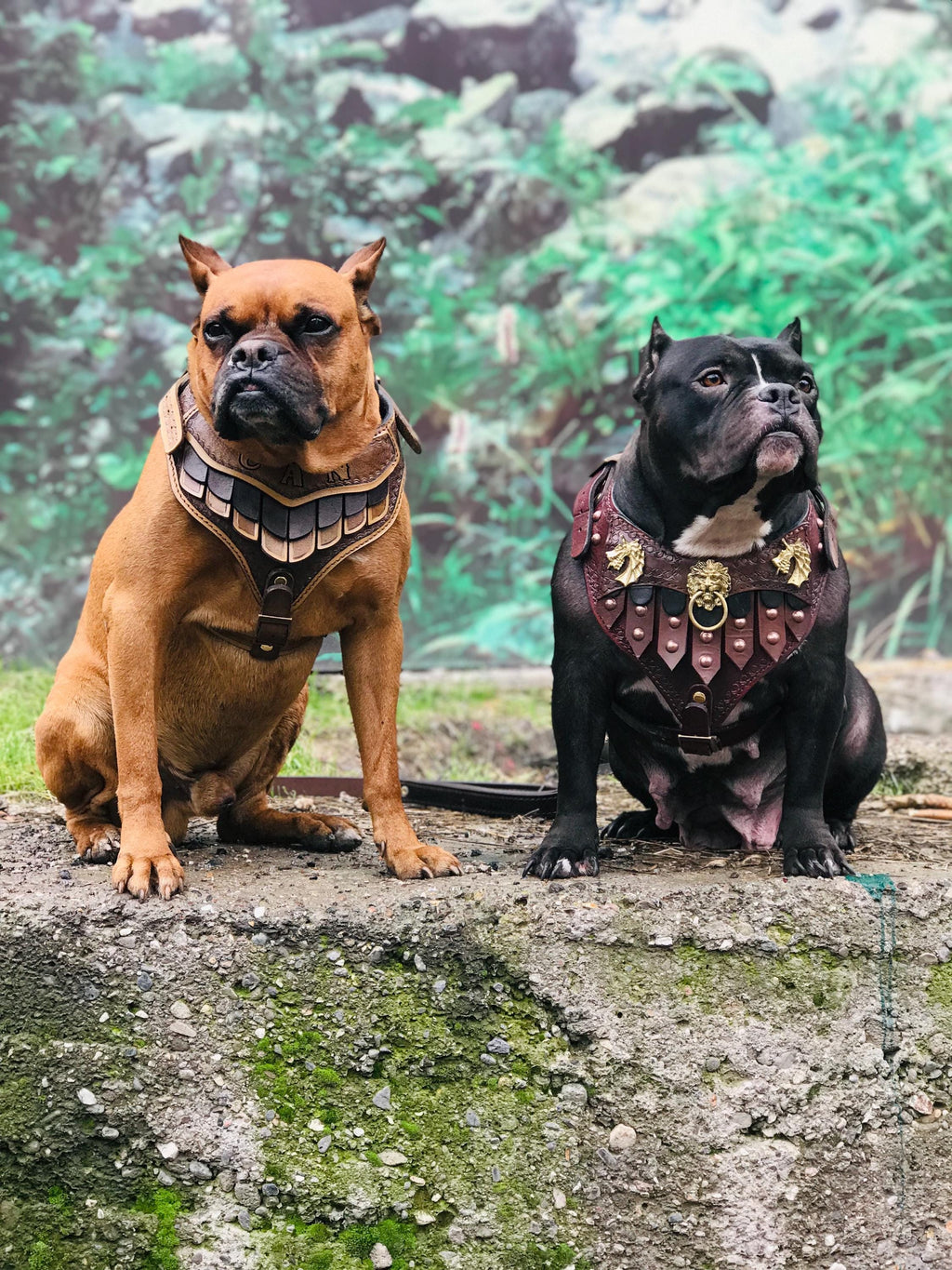 Handmade Leather Gladiator Dog Harness: Tactical Style Pet Armor (25-90 kg)