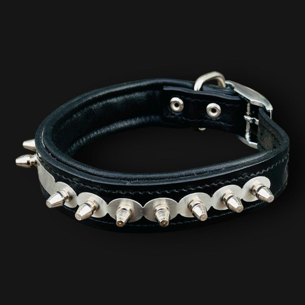 Personalized leather dog collar with engraved name tag, handcrafted by A&C Dog Collars, featuring a durable, stylish design.