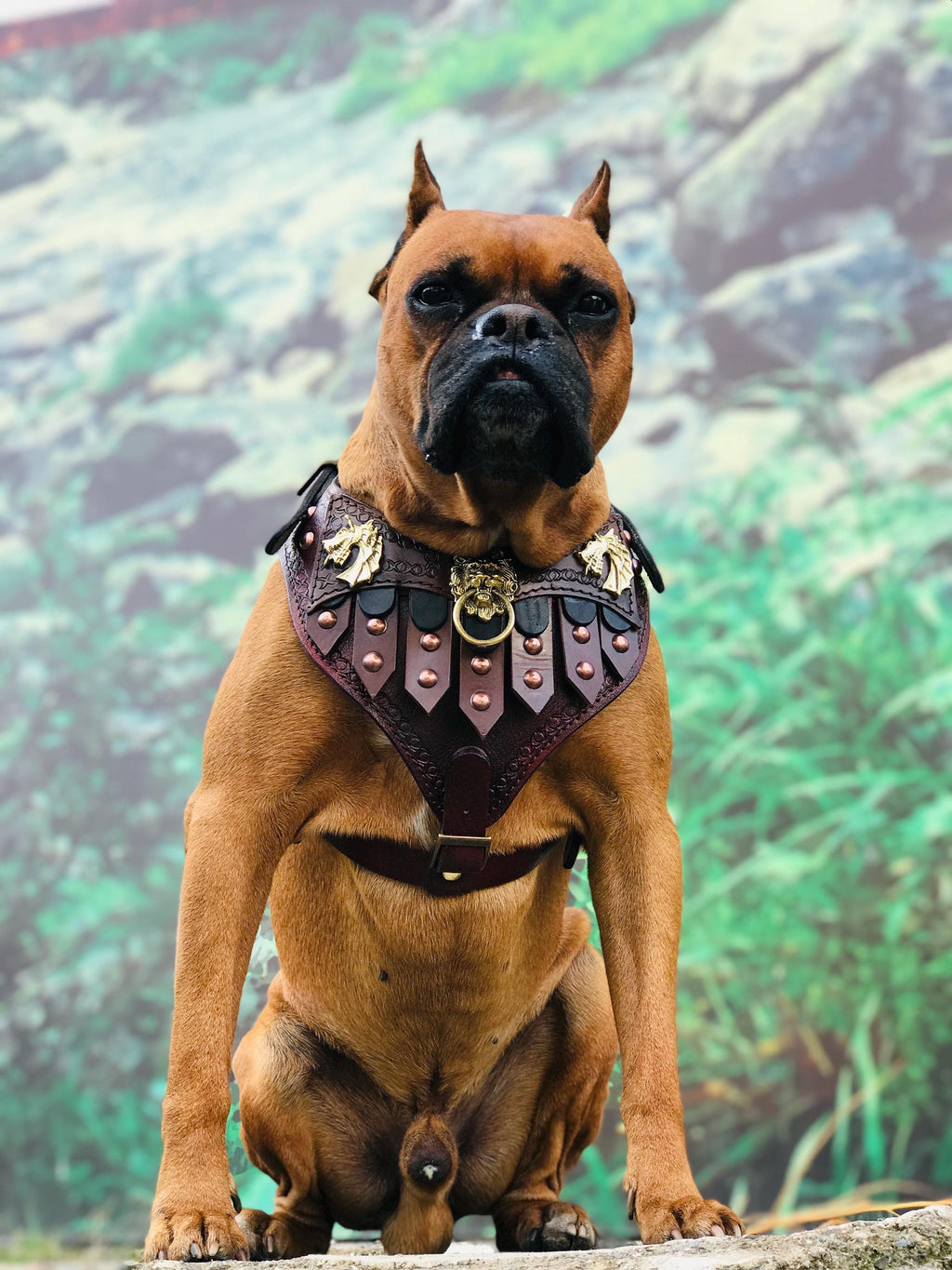 Handmade Leather Gladiator Dog Harness: Tactical Style Pet Armor (25-90 kg)