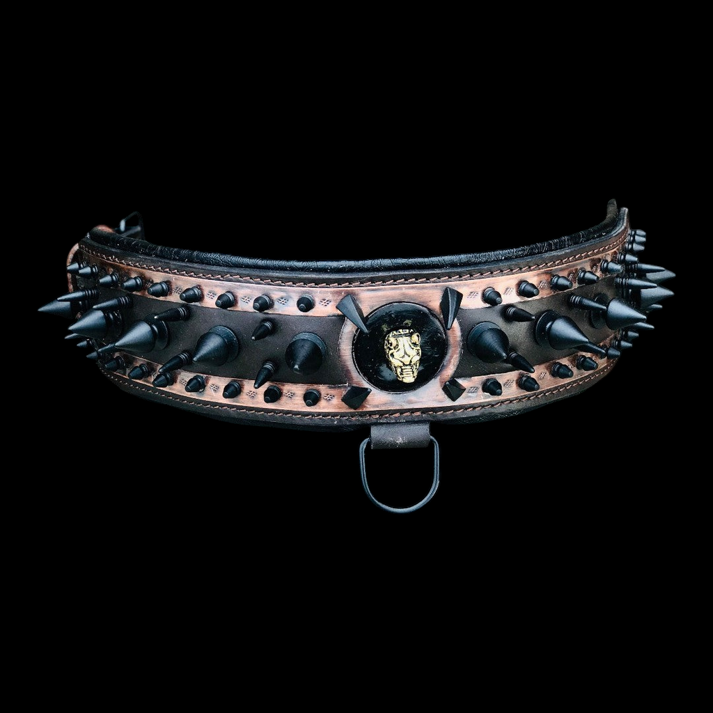 A black leather dog collar with metal spike accents, styled for a bold, edgy look by A&C Dog Collars on a neutral background.