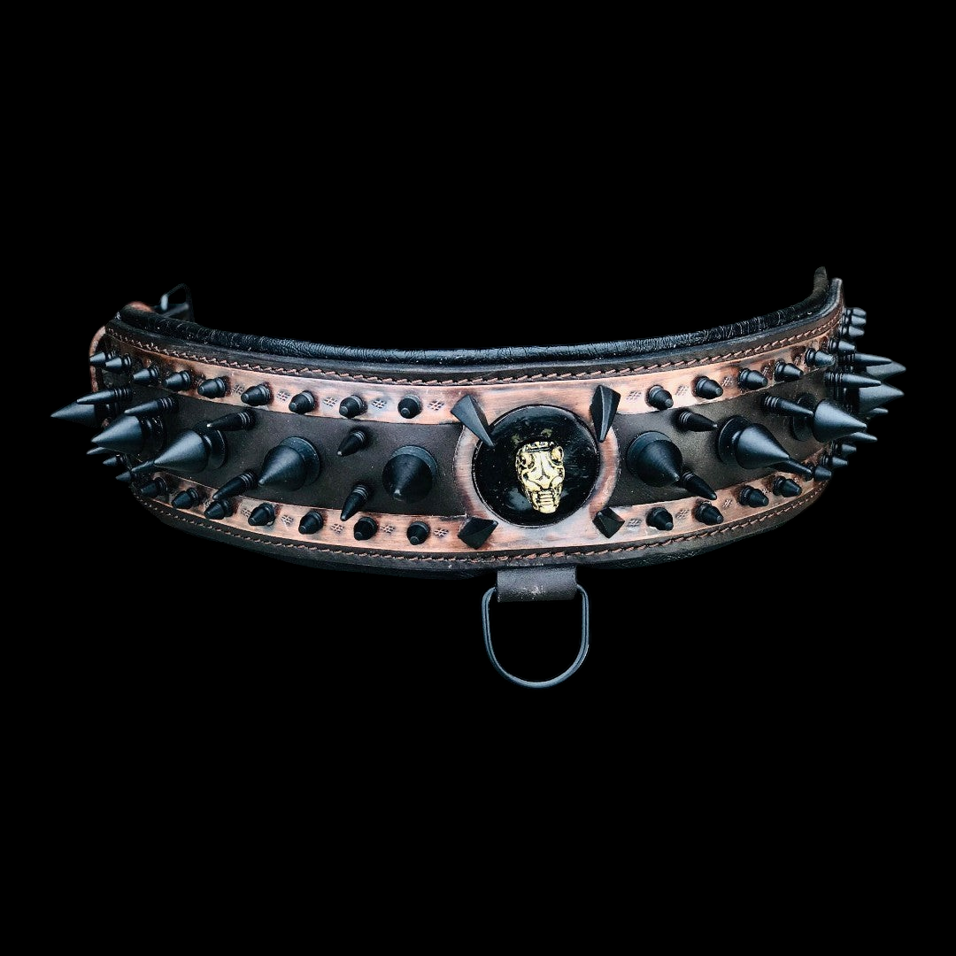 A black leather dog collar with metal spike accents, styled for a bold, edgy look by A&C Dog Collars on a neutral background.