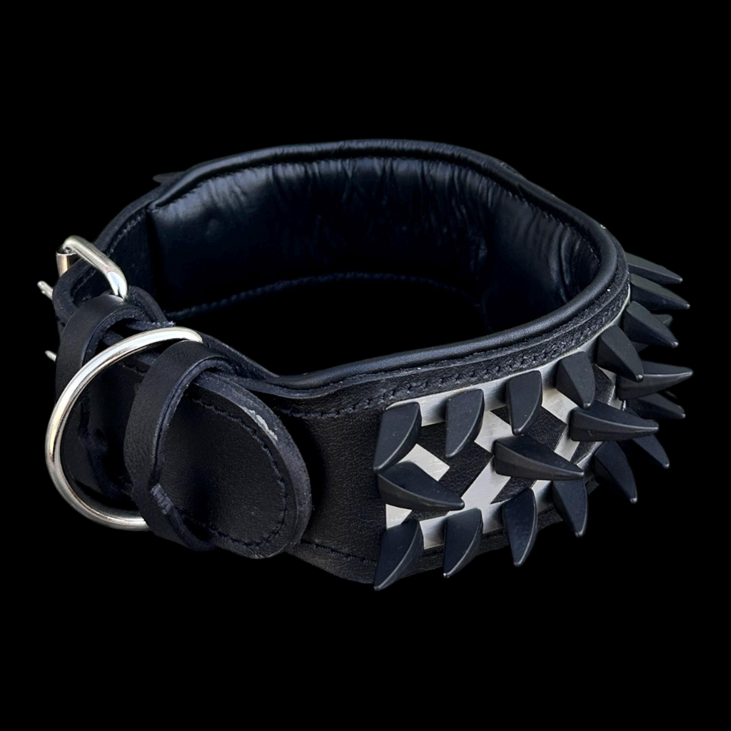 A&C Dog Collars el yapımı siyah deri köpek tasması, metal çivili ve aslan figürlü paslanmaz çelik plakalı