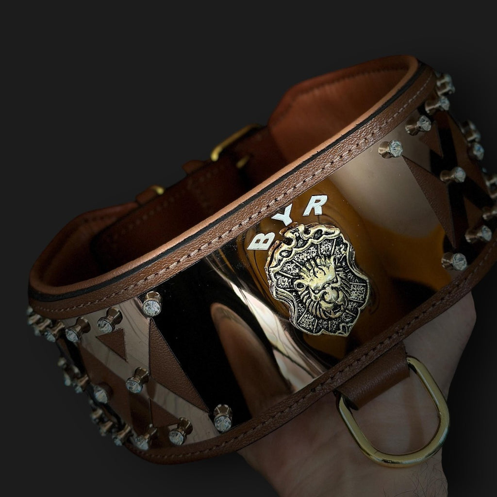 Luxury leather dog collar by A&C Dog Collars, handmade with bronze steel and crystal accents, featuring a secure buckle.
