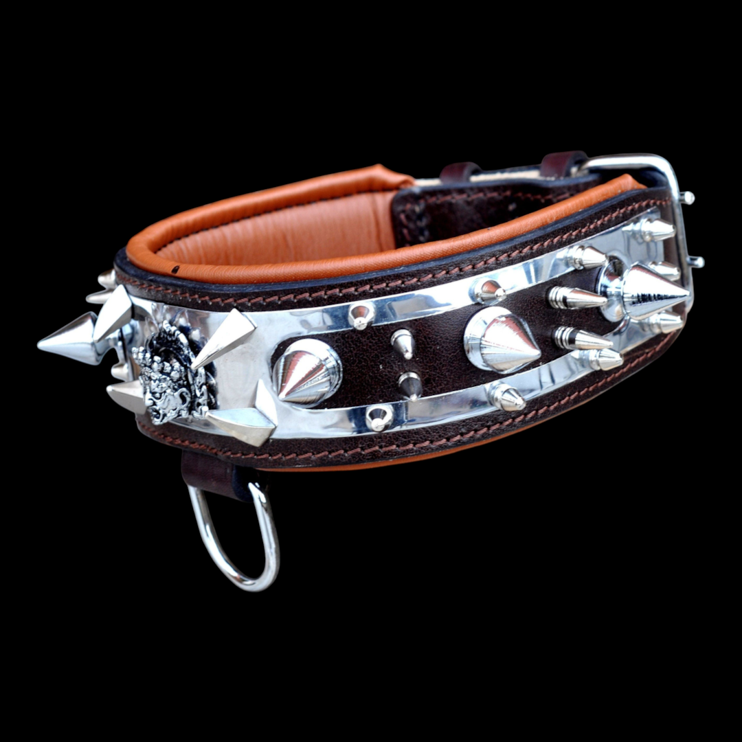 A&C Dog Collars el yapımı Medusa figürlü, çelik plakalı ve krom çivili geniş manda derisi köpek tasması