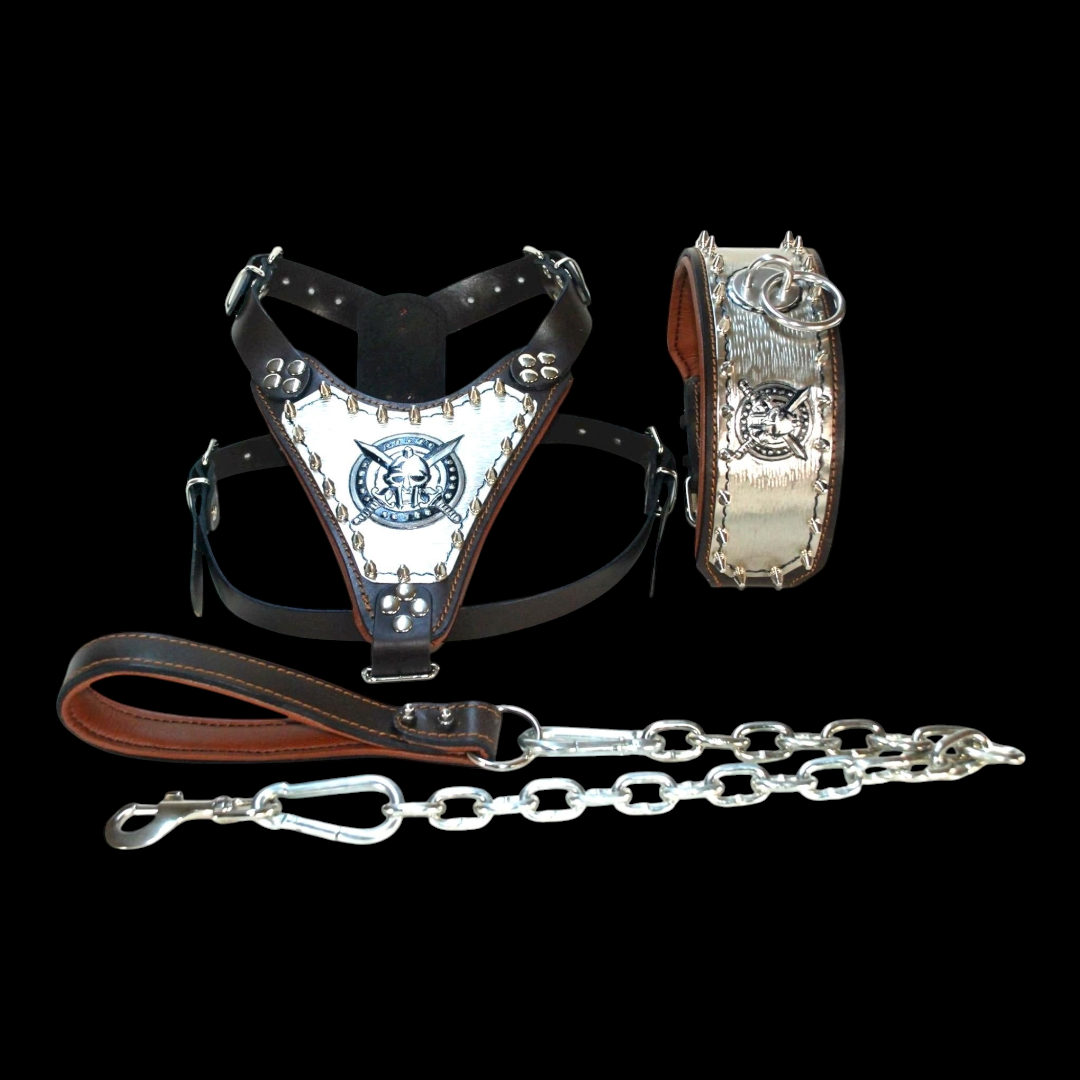 A&C Dog Collars el yapımı deri köpek göğüs tasması, tasma ve zincir seti, bakır kaplama detaylı ve kişiselleştirilebilir.