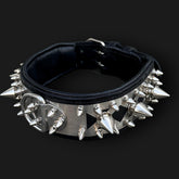Handmade spiked leather dog collar with custom engraved name plate from A&C Dog Collars, featuring metal spikes and adjustable fit.