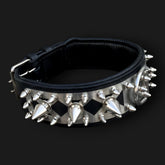 Handmade spiked leather dog collar by A&C Dog Collars with a custom engraved metal name plate and adjustable buckle.
