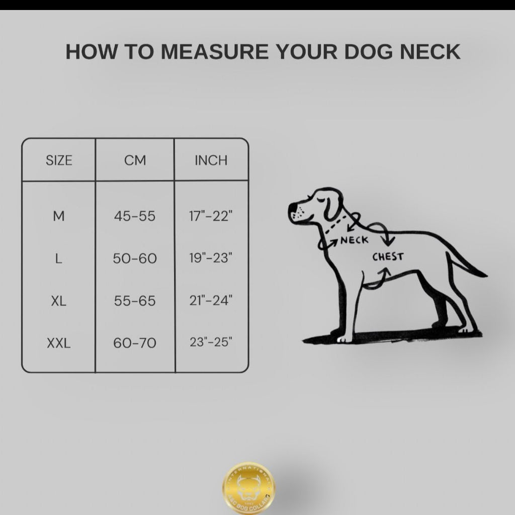 Handmade luxury leather dog collar with bronze steel accents and crystal details, showcasing elegant craftsmanship and design.