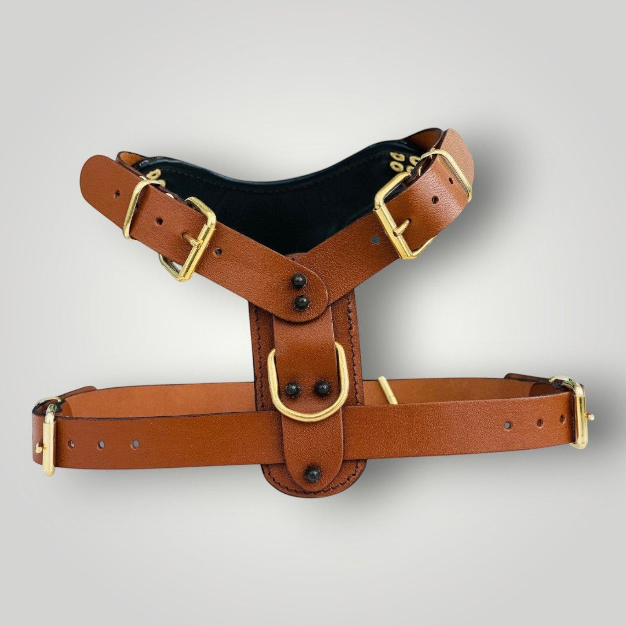 Handmade buffalo leather dog harness from A&C Dog Collars, personalized and adjustable for a comfortable fit.