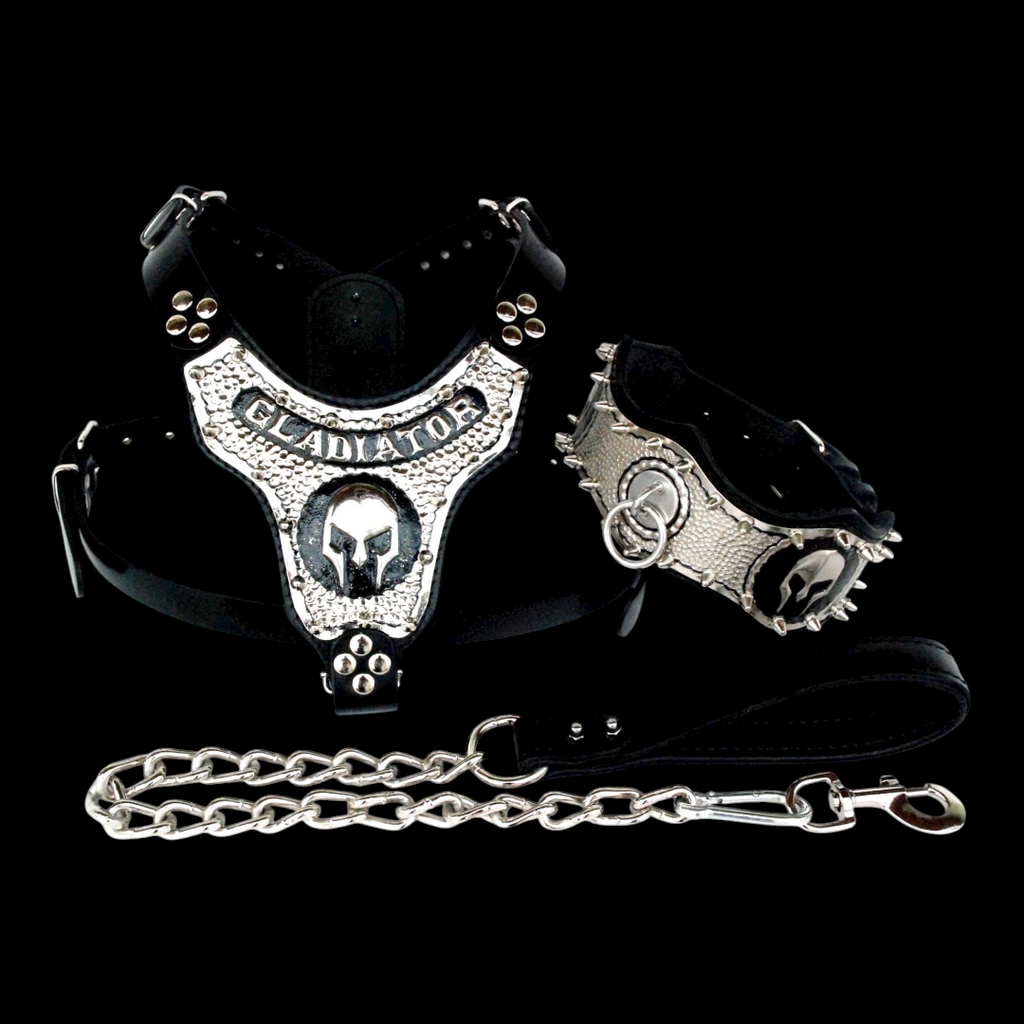 A&C Dog Collars marka, gladyatör temalı, bakır kaplama detaylı, siyah deri köpek göğüs tasması, tasma ve zincir seti.