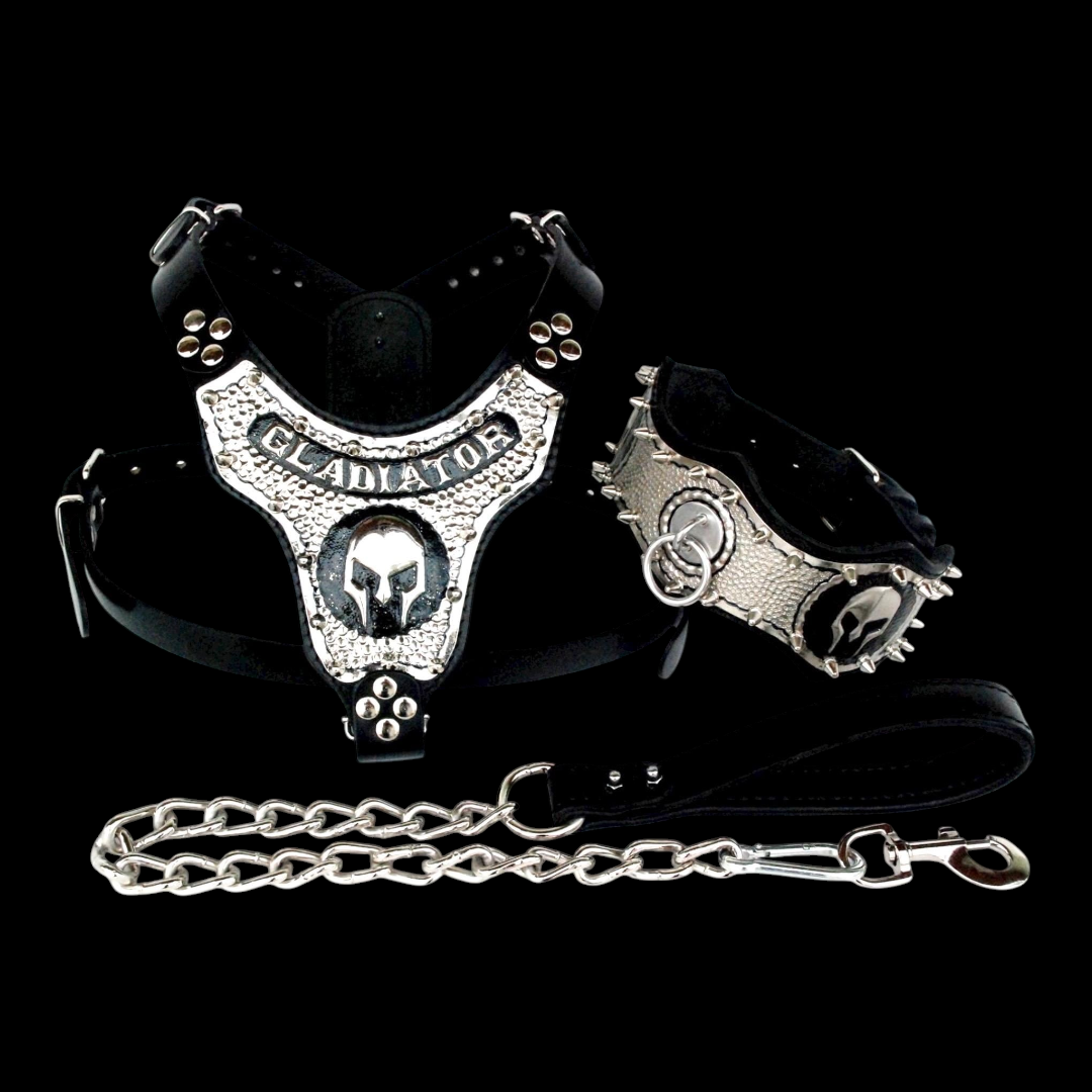 A&C Dog Collars marka, gladyatör temalı, bakır kaplama detaylı, siyah deri köpek göğüs tasması, tasma ve zincir seti.