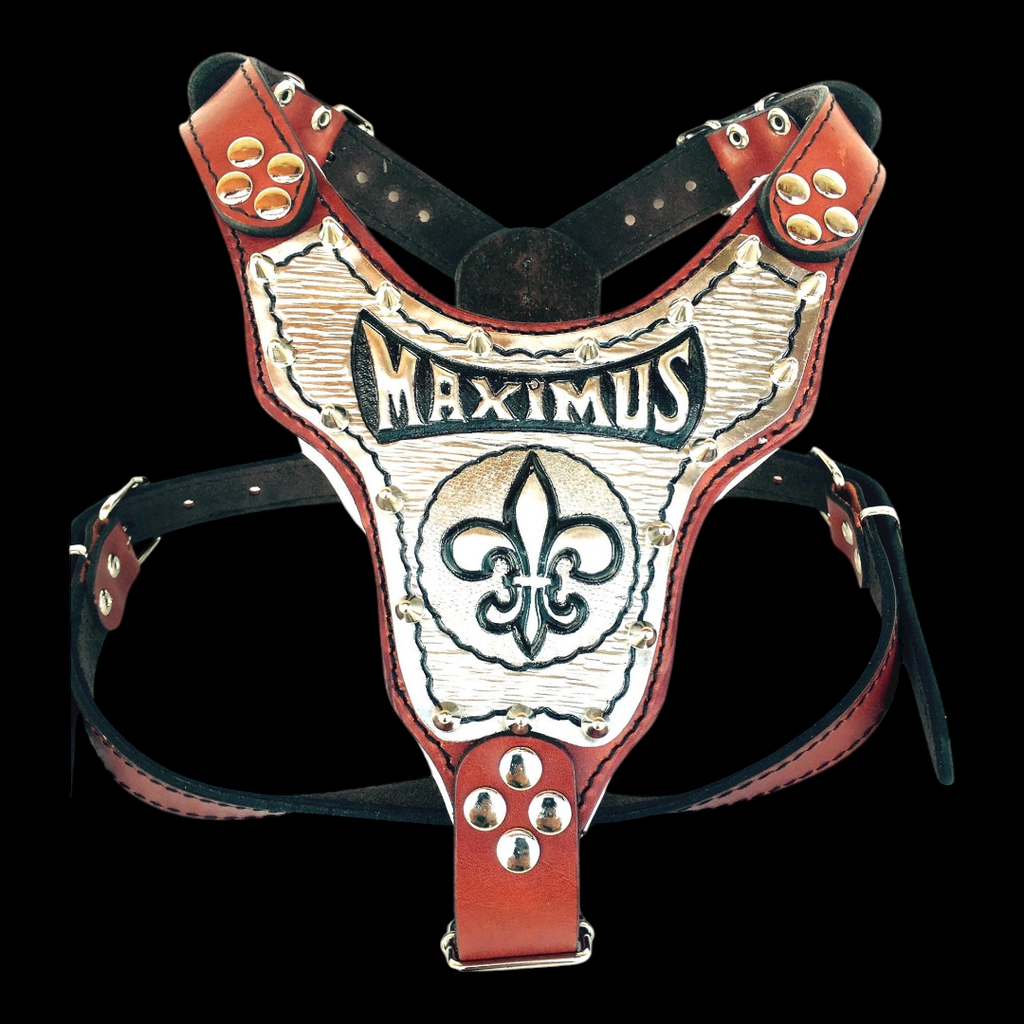 A&C Dog Collars marka, Maximus isimli ve fleur-de-lis desenli, bakır detaylı el yapımı deri köpek göğüs tasması.