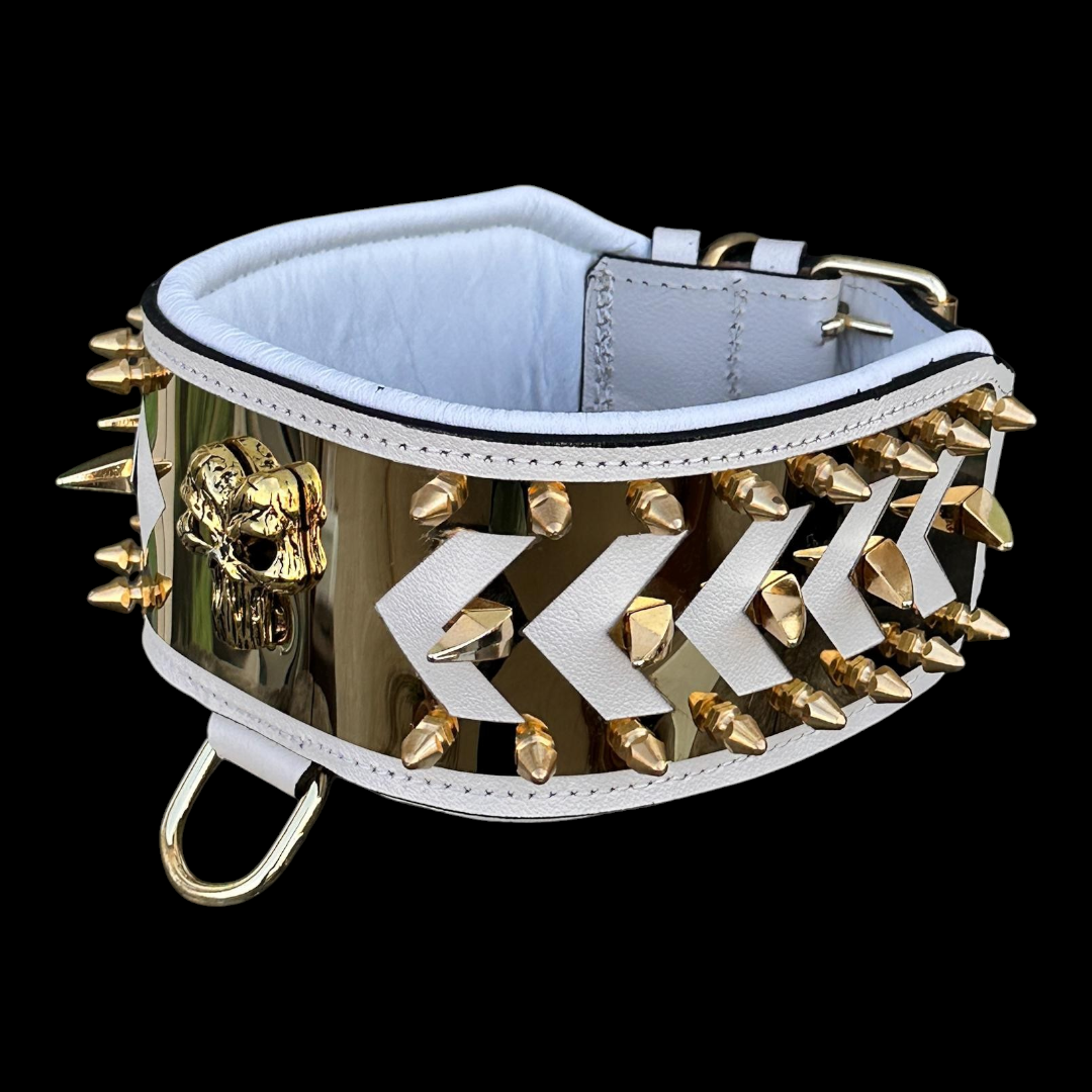 White buffalo leather spiked dog collar with gold Punisher emblem, handmade luxury design, shown on a dog.