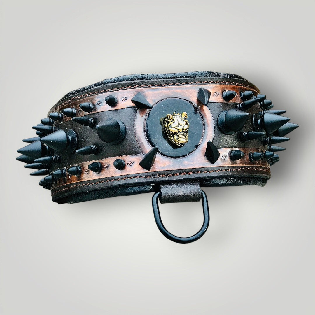 Spiked leather dog collar by A&C Dog Collars featuring metal spikes and sturdy leather construction for stylish pet accessories.