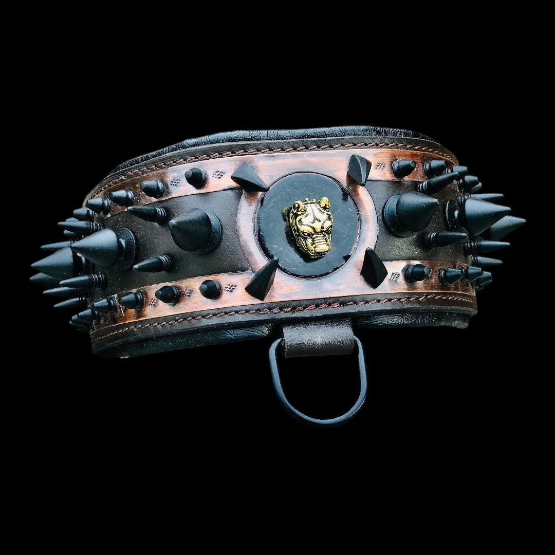 Spiked leather dog collar by A&C Dog Collars featuring metal spikes and sturdy leather construction for stylish pet accessories.