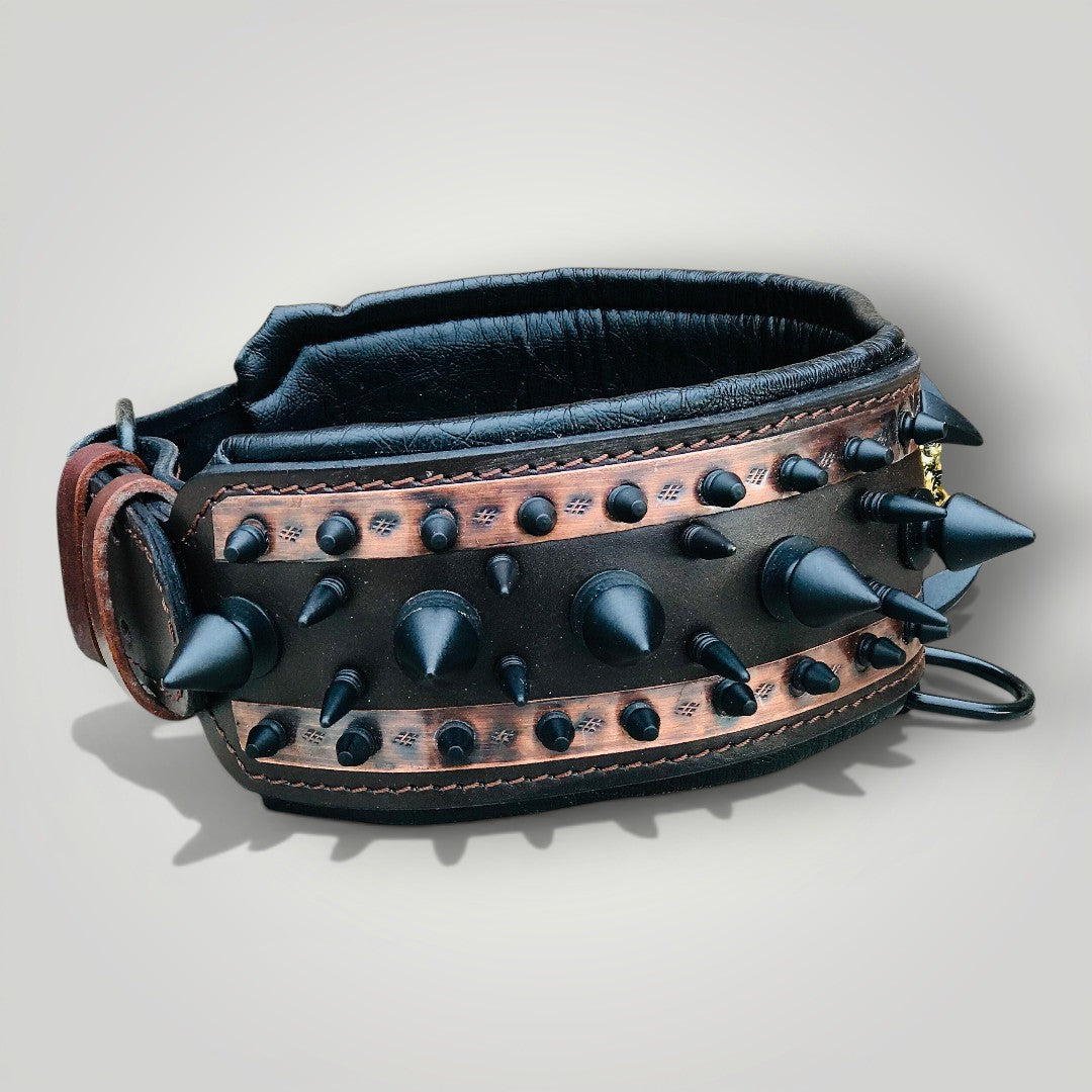 A black leather dog collar with metal spikes from A&C Dog Collars, featuring adjustable buckle and sturdy design.