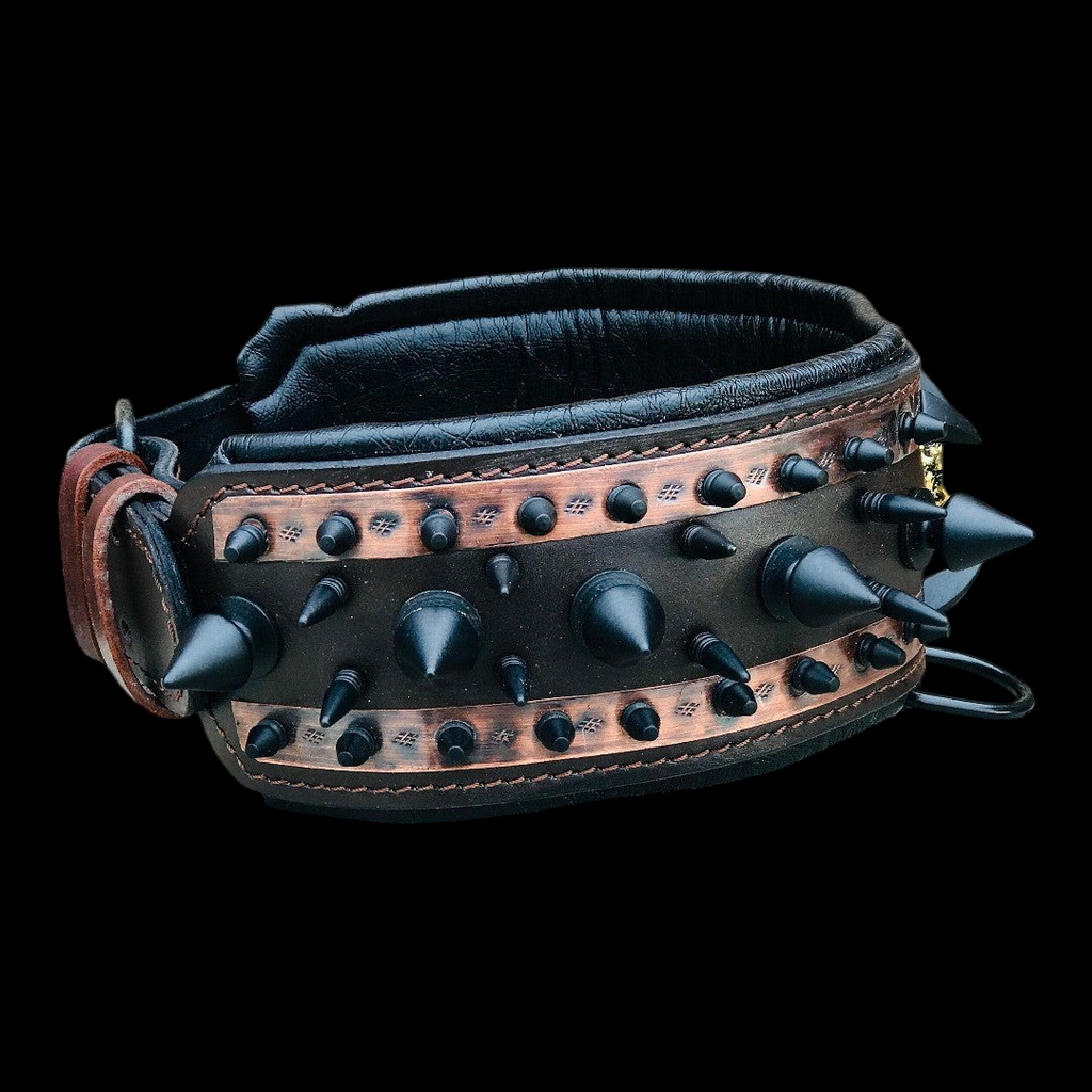 A black leather dog collar with metal spikes from A&C Dog Collars, featuring adjustable buckle and sturdy design.