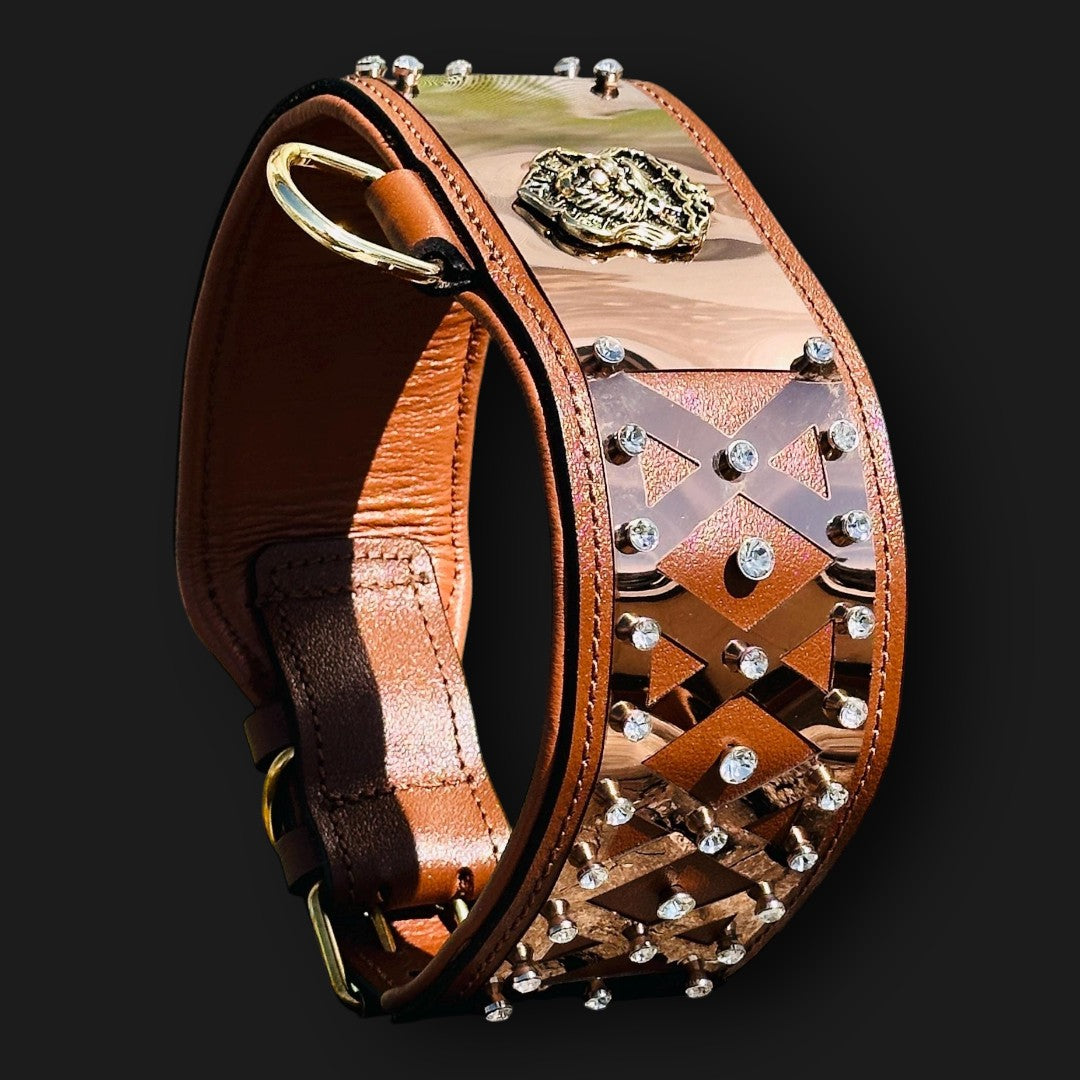 Luxury leather dog collar by A&C Dog Collars with bronze steel accents and crystal embellishments, showcasing craftsmanship and style.