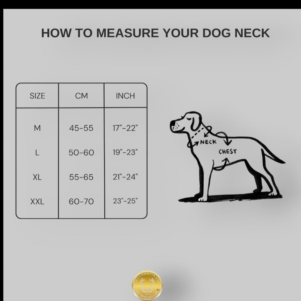 Handmade tan leather wide dog collar with lion emblem by A&C Dog Collars, showcasing sturdy leather and decorative lion design.