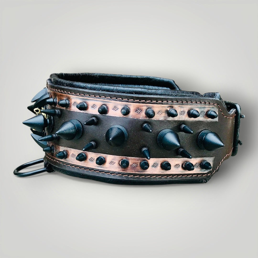 Spiked leather dog collar by A&C Dog Collars with metal spikes and adjustable strap, designed for stylish and secure pet wear.