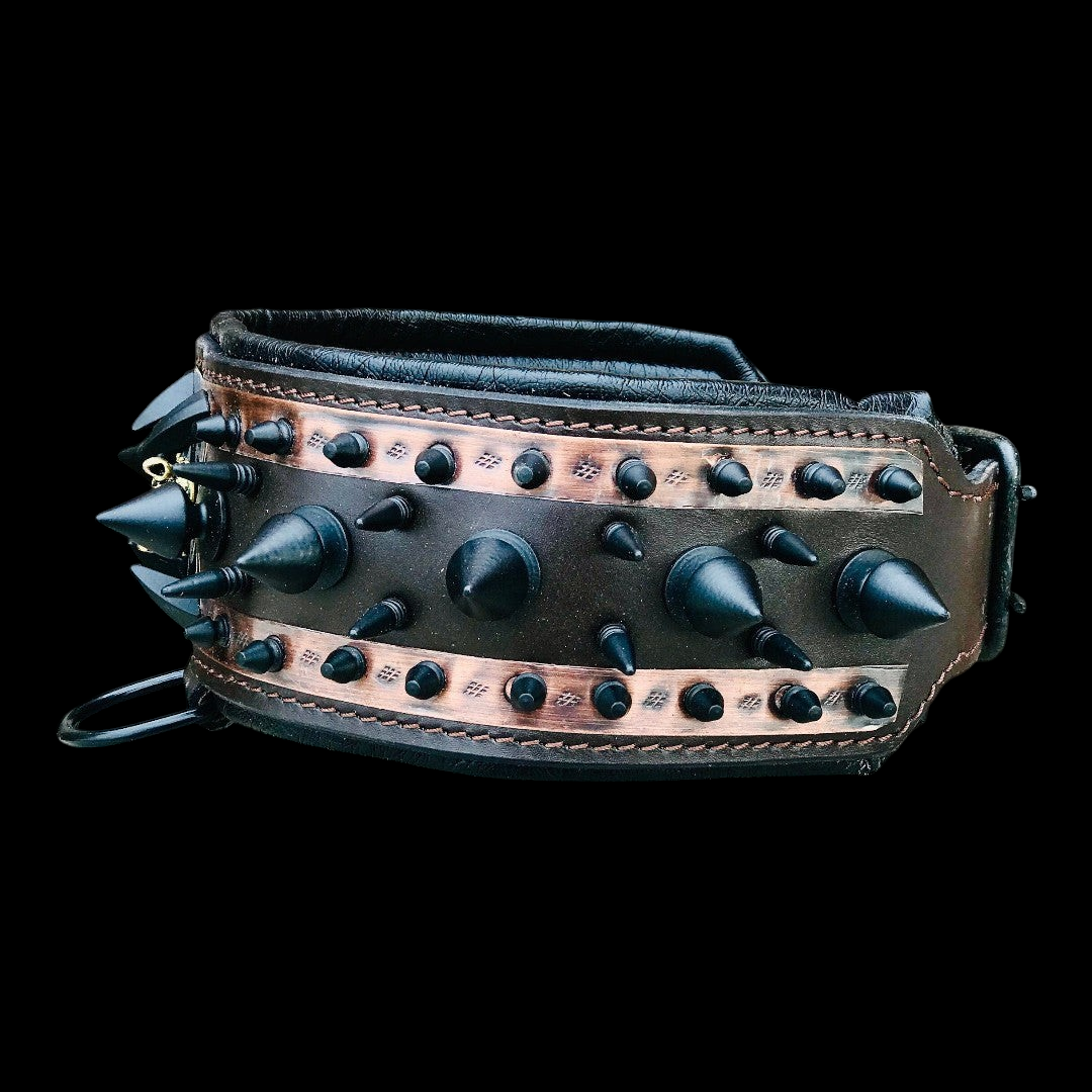 Spiked leather dog collar by A&C Dog Collars with metal spikes and adjustable strap, designed for stylish and secure pet wear.