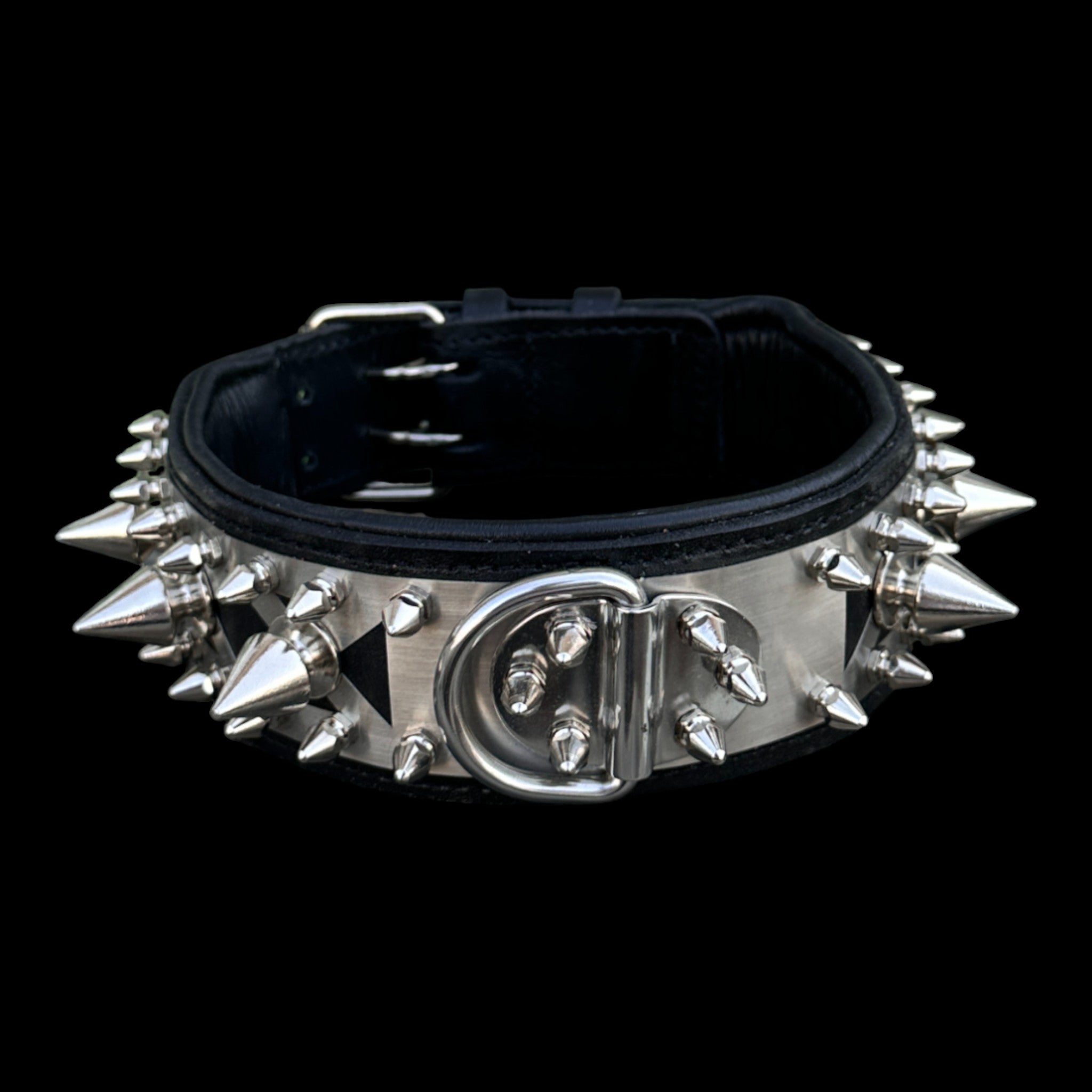 Custom extreme spiked dog collar for Belgian Malinois and Presa Canario