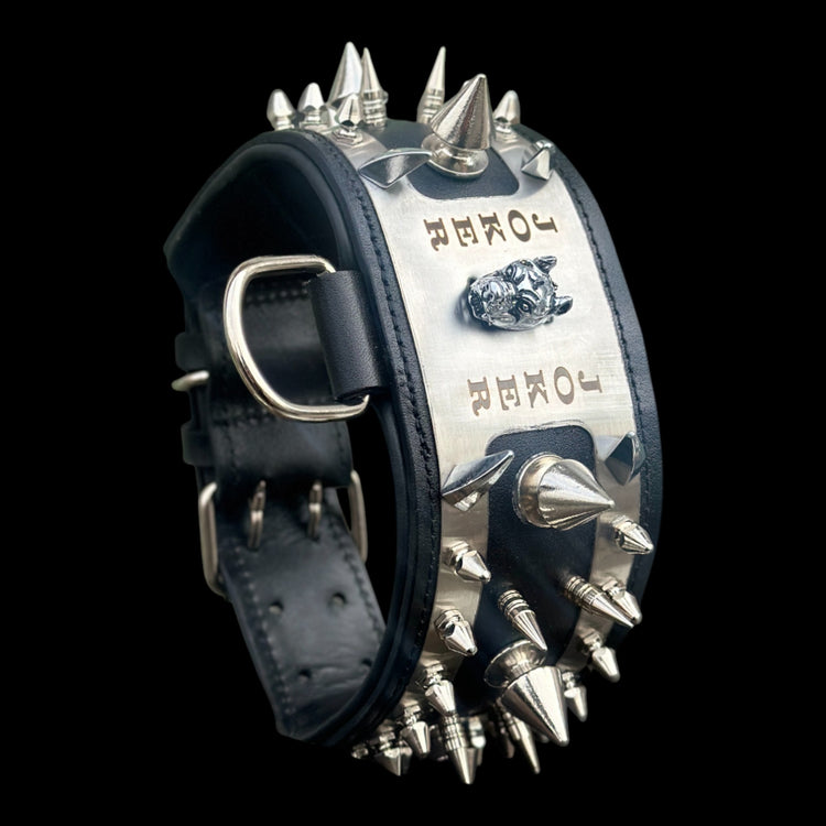Chrome steel dog collar with Bully head emblem