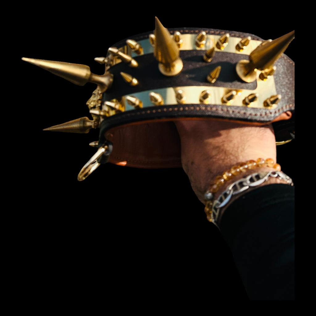Doberman wearing gold lion emblem collar