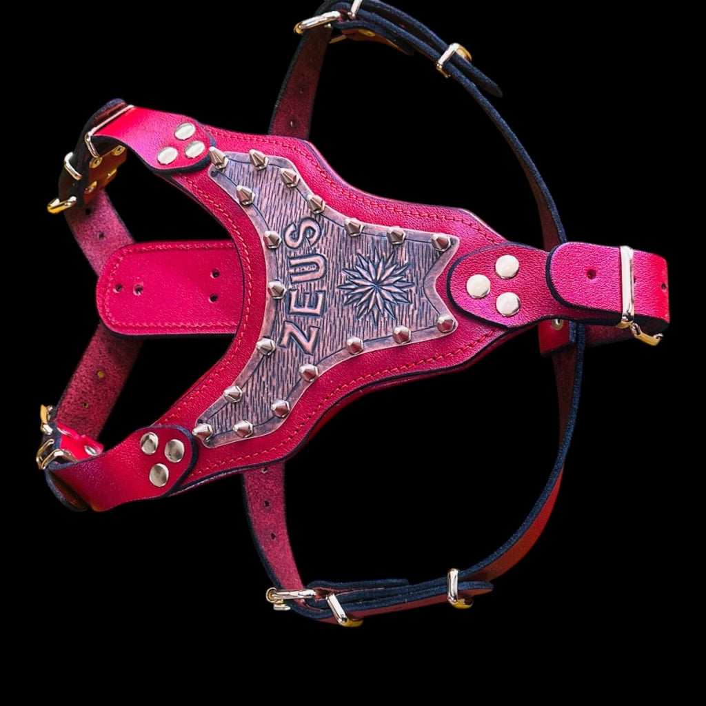 Handmade Copper Dog Collar & Harness Set – Personalized Red Leather Spiked Set