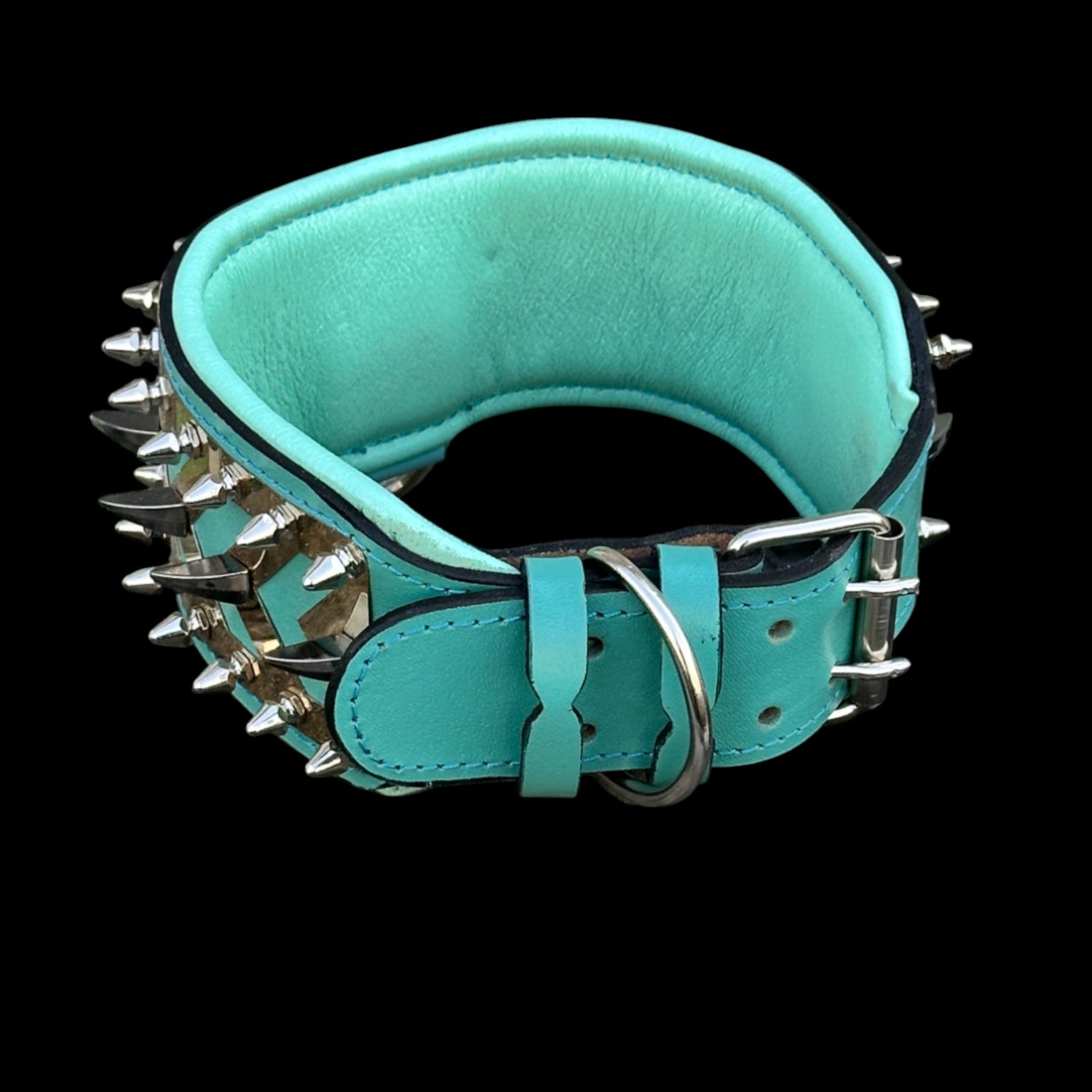 Buffalo leather dog collar with turquoise base and spiked accents for Cane Corso and Rottweiler.