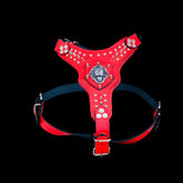 Lion logo dog chest harness with silver studs