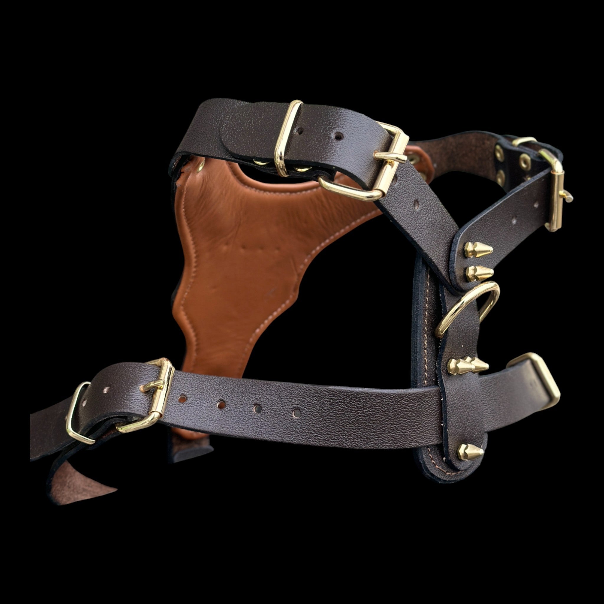 Close-up of lion emblem and golden spikes on dog harness