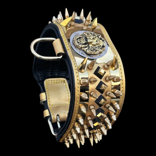 Handmade gold lion dog collar with spikes