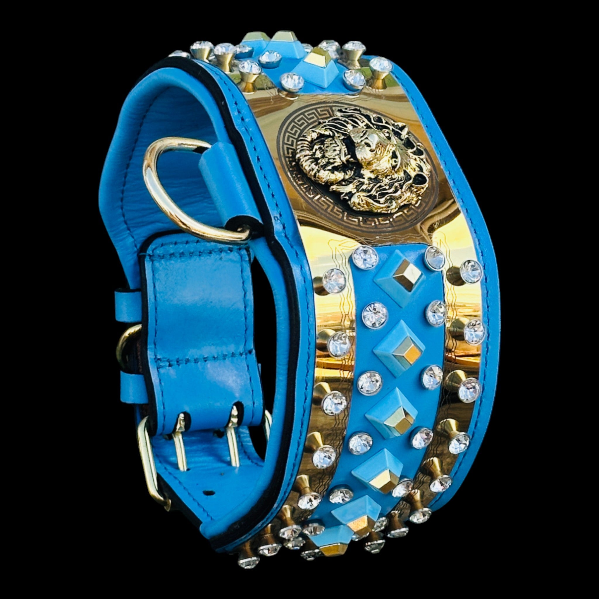 Blue and gold lion dog collar with crystals
