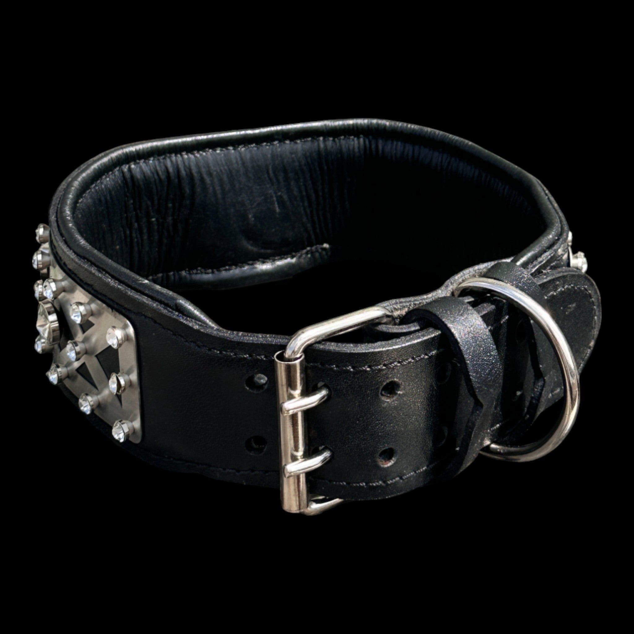 Crystal dog collar with polished stainless details