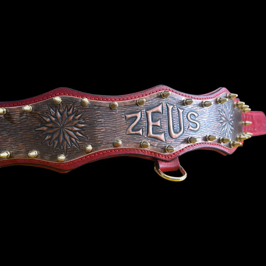 Handmade Copper Dog Collar & Harness Set – Personalized Red Leather Spiked Set