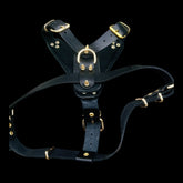Handmade Luxury Dog Chest Harness with Gold Lion Logo – For Large Breeds - A&C Dog Collars