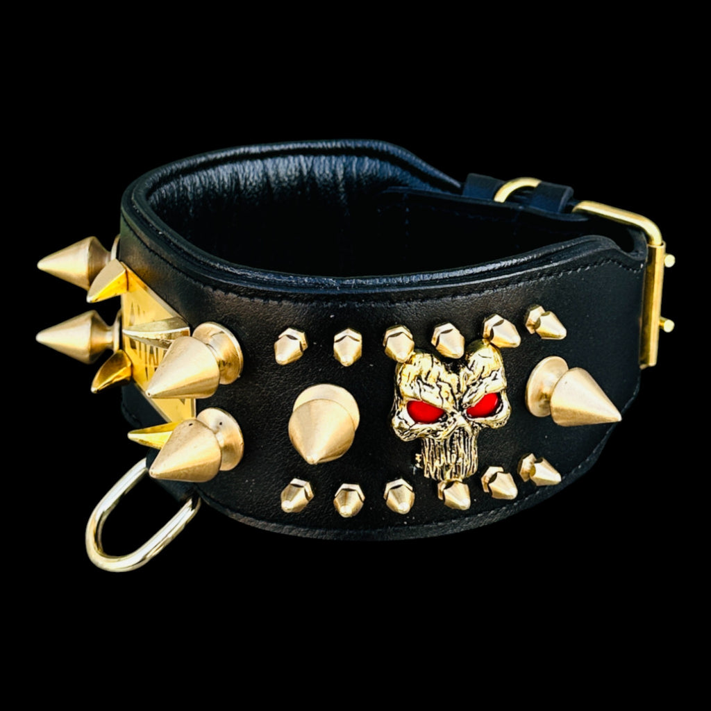 Custom engraved gold metal plate collar for strong breeds
