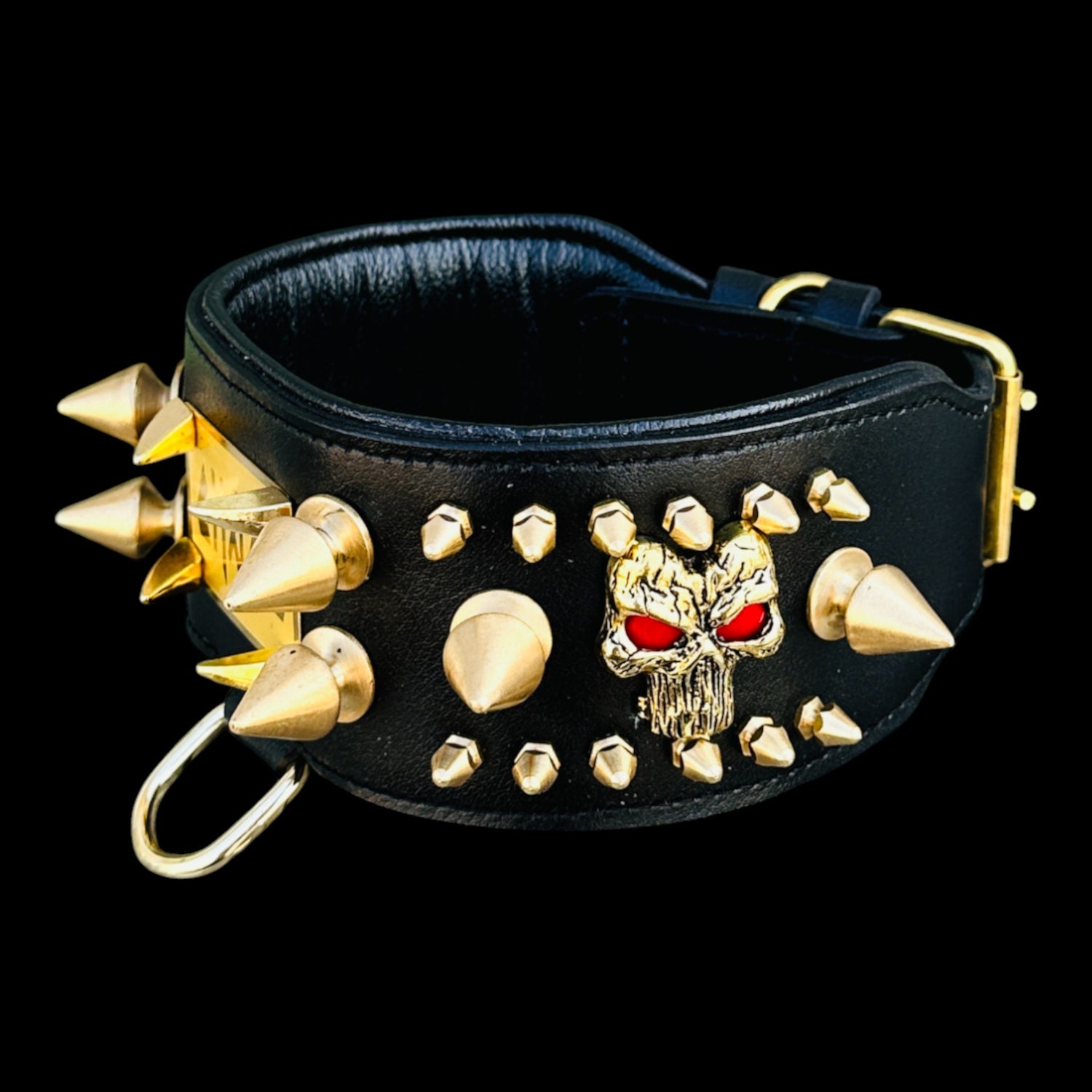 Custom engraved gold metal plate collar for strong breeds