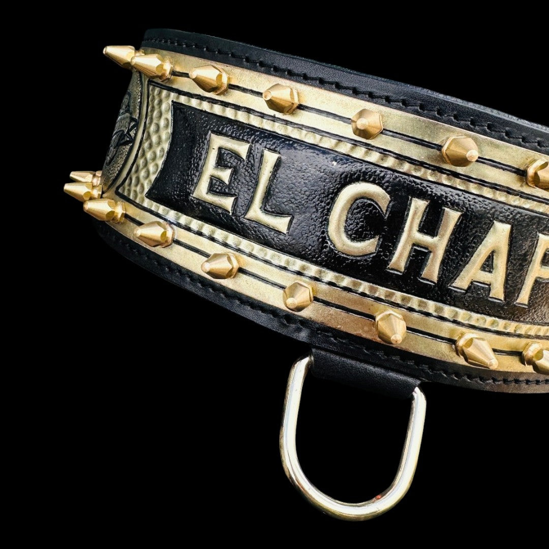 Personalized Black & Gold Leather Dog Collar & Harness Set – Handmade Spiked Design