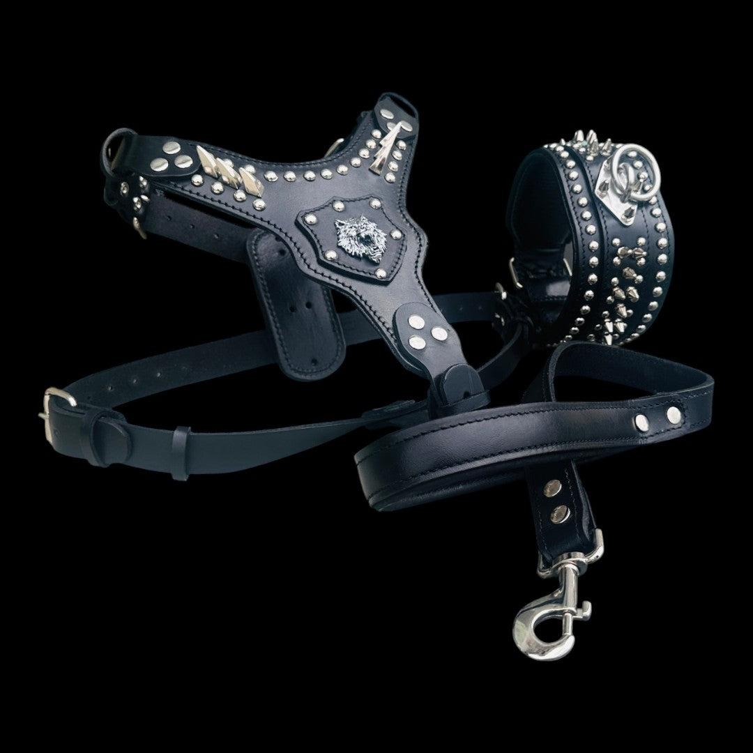 Black Leather Dog Collar, Harness & Leash Set – Handmade Spiked Large Breed Set