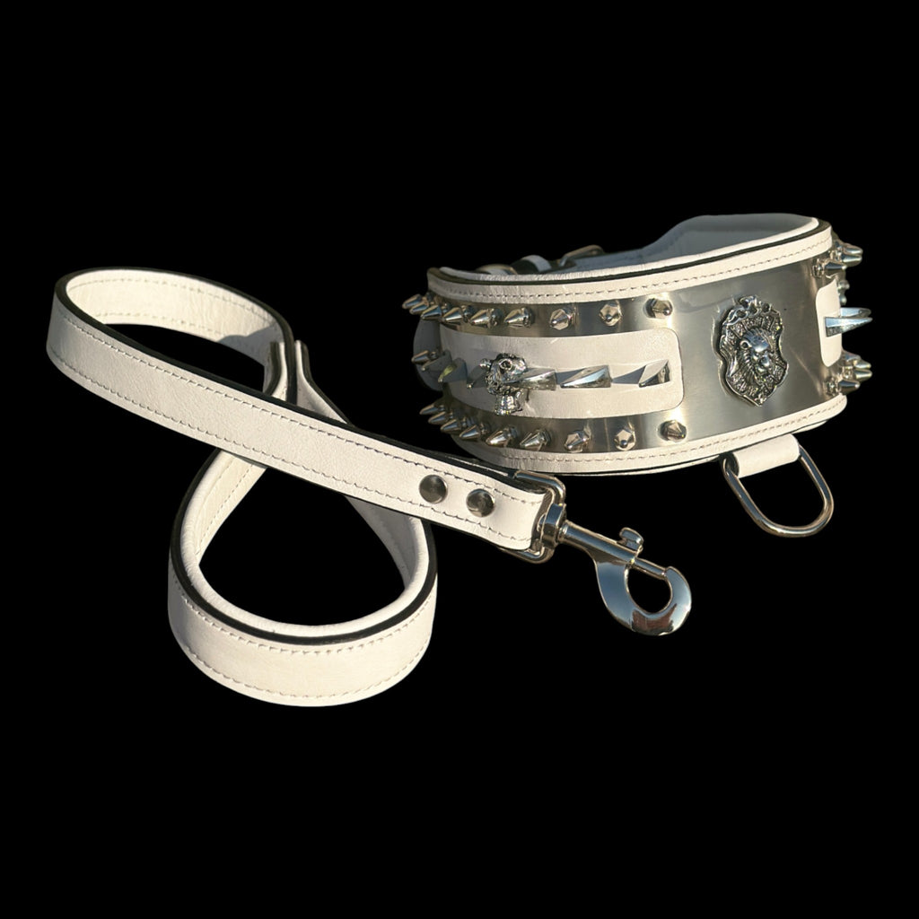 Elegant spiked collar for Rottweiler, K9, and Doberman