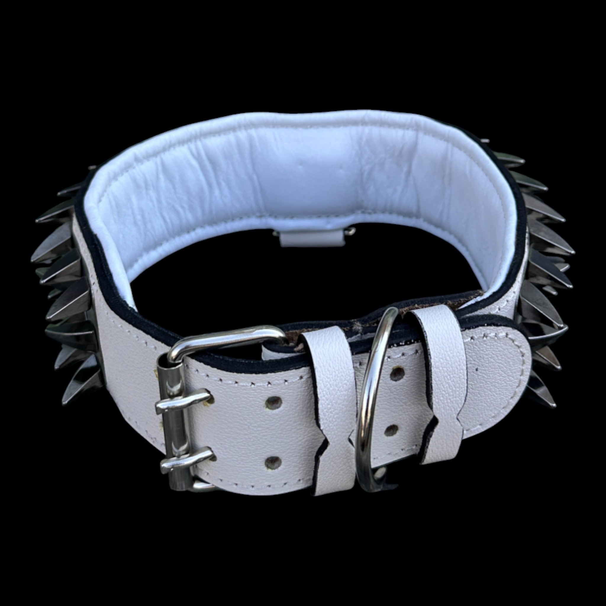 2.36 inch wide lion logo dog collar UPS Express 2–3 day delivery